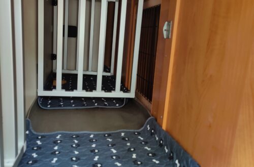 Hundebox_frankia_wohnmobil_selbstgebaut_freises.reisen